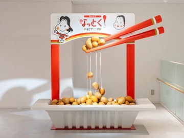 【茨城県】3施設すべて入場無料！ 納豆・ヨーグルト・マヨネーズ。食品工場見学3選