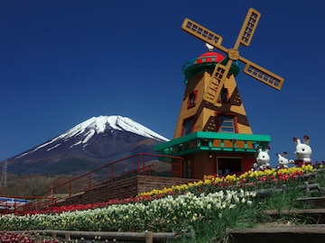 【静岡県】平日は入園無料も！ 浜名湖の26種アトラクションから大人830円の冒険王国まで…遊園地3選