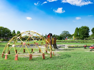 【京都府】3公園すべて入園無料！ “ふわふわドーム”から迷路の自然公園まで…1日中遊べる公園3選
