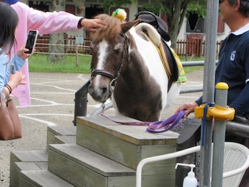 【兵庫県】3施設すべて入場・入館無料！ 馬とふれあう公園に体験科学館……親子で行きたいスポット3選