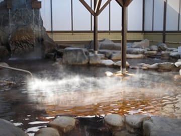 【群馬県の人気日帰り温泉】「天然温泉 天神の湯」は自家源泉かけ流しのお湯を楽しめる施設