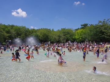 【千葉県】動物園に噴水広場、アスレチックにじゃぶじゃぶ池も。親子で行きたい水遊び3選