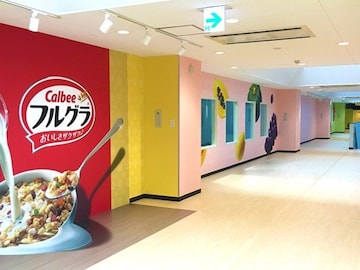 【栃木県】すべて入場無料！ 「かっぱえびせん」に「フルグラ」も。親子で行きたい工場見学3選