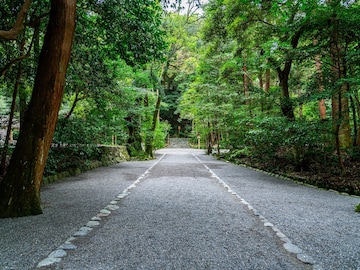 無理して行くと逆効果……「相性が悪い神社」が参拝前後に出す4つの拒否サイン