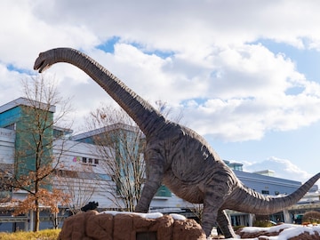 【福井県】感応式で動くティラノサウルスがお出迎え！ 新幹線ホームから“北陸のハワイ”も望める駅も。駅直結スポット2選