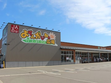 【石川県】“たけのこ狩りができる”直売所に、スーパー並みの品揃えで大盛況の施設も！ ファーマーズマーケット2選