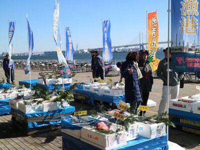 横浜中央卸売市場ゾーンでは、各漁港で水揚げされた魚介類が展示される（画像提供：横浜港大さん橋マルシェ実行委員会）