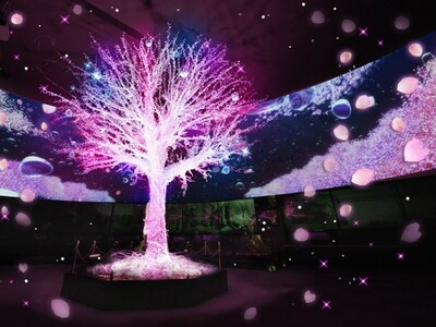 「はじまりの木」の光のショータイムも桜バージョンに（画像提供：横浜・八景島シーパラダイス）