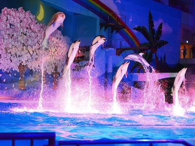 「海の動物たちのショー」は昼と夜で異なるバージョンを開催。画像は夜のバージョン（画像提供：横浜・八景島シーパラダイス）