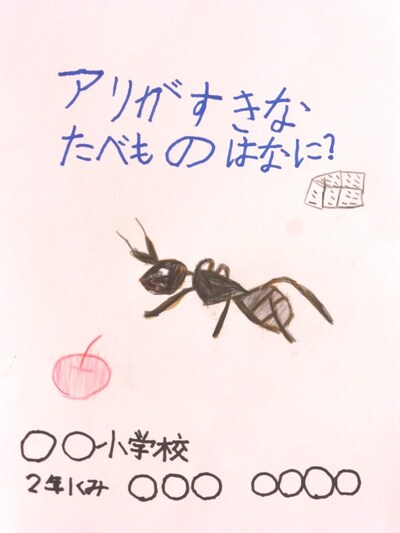 画像 2 4 自由研究のまとめ方 画用紙のレイアウトや書き方 綴じ方例 工作 自由研究 All About