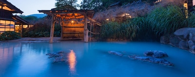 5 Great Lesser-known Onsen Towns