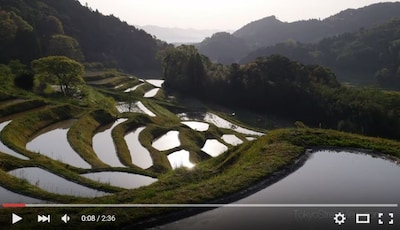 Hiratsuka Terraced Rice Field