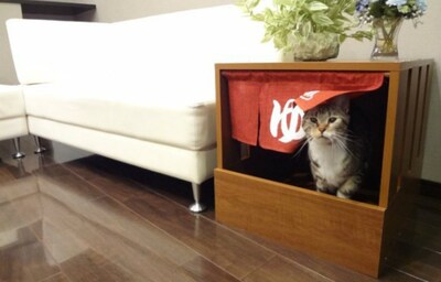 Adorable Onsen Litter Box