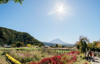 Weekend Break in Yamanashi