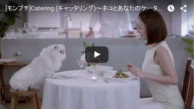 Dine with Your Feline or Canine Companion