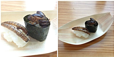 Could You Eat Bug Sushi?