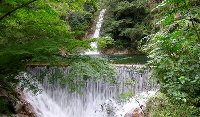 6 Great Nature Hikes Close to the Shinkansen