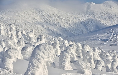 Capturing Snow Monsters in Aomori