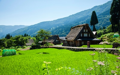 Wonders of Japan: Harmony with Nature