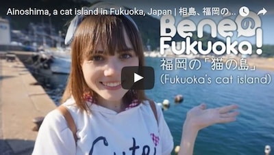 Fukuoka's Cat Island