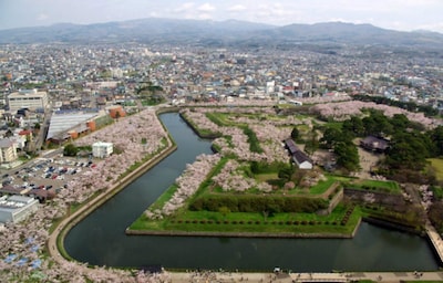 Top 9 Sakura Spots in Tohoku & Hokkaido