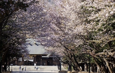 Ski with Sakura in Sapporo