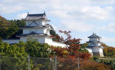 9 Castles to Hit in Hyogo after Himeji