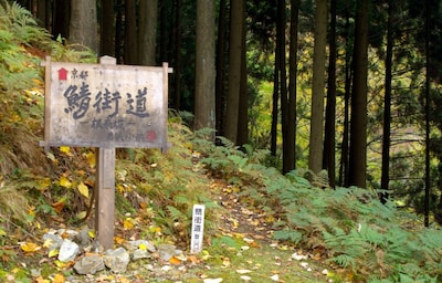 Hike the Mackerel Highway