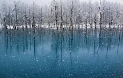 The Blue Pond in Hokkaido