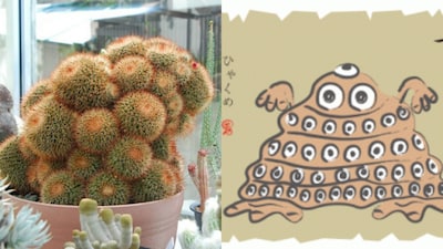 Would You Buy a Creepy Cactus?