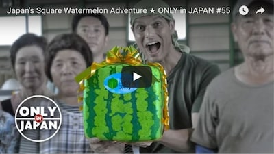 The Secret of the Square Watermelon