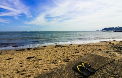 Get to Know the Hotspots of Kamakura Beach