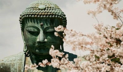 Take a Hike in Kamakura