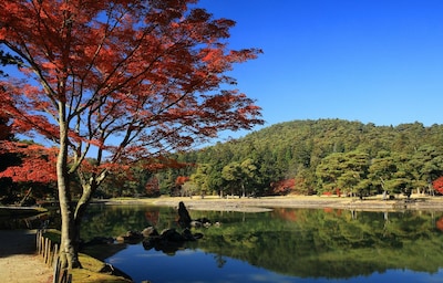 Hiraizumi: Pure Land Heritage