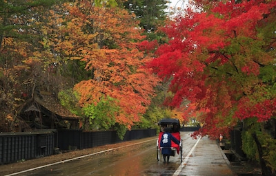 Super Cheap Japan's Top Fall Spots in Tohoku