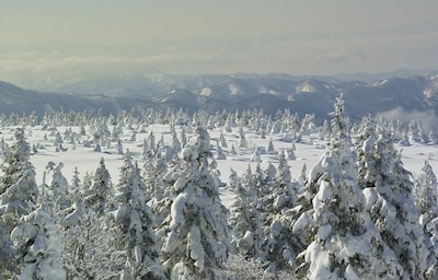 The 6 Greatest Snowscapes in Tohoku