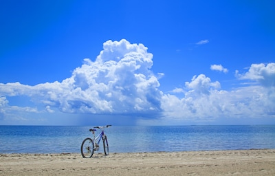 Wonders of Japan: Activities Amidst Nature