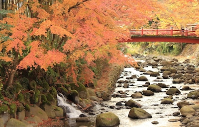 Atami & Shuzenji Hot Spring Resorts