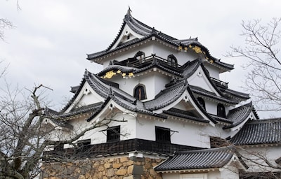 Hikone Castle: A National Treasure at 410