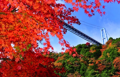 12 Things to Do in Ibaraki in Autumn