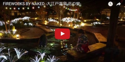 Enjoy Nighttime Sakura Petals in an Onsen