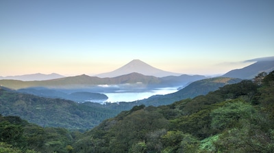 4 Natural Nirvana Finds Just Outside Tokyo