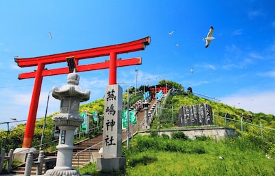 Flock with the Seagulls at Kabushima Shrine