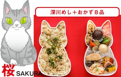 The Purrfect Bento Box for Cat Lovers