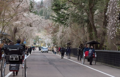 Kakunodate หมู่บ้านซามูไรและซากุระที่สวยที่สุด