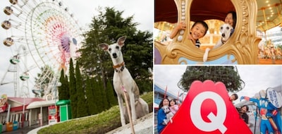 Dog Days Are Coming to Fuji-Q Highland