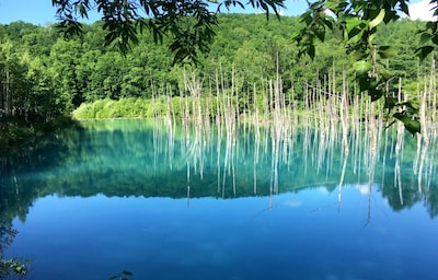 风光誌｜静谧之蓝成就你的日本最北端之旅