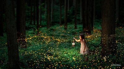 Fireflies Light up the Night in Amazing Photos