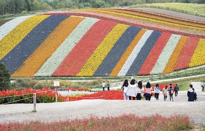 ตะลุย Furano ปลายกันยา ไหนใครว่าไม่มีอะไร?