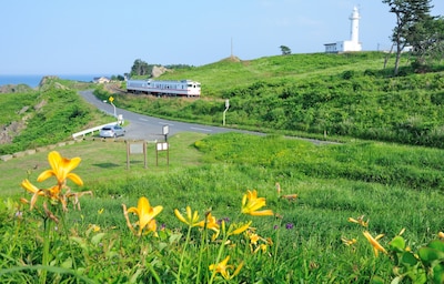 在八戶市擁抱日本東北的溫暖